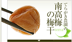 ���_��E���엿�̓썂�~�̔~��