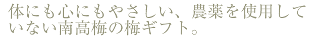 �̂ɂ��S�ɂ��D�����A���_��̓썂�~�̔~�M�t�g