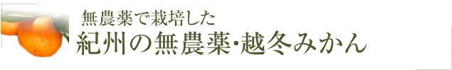 紀州みなべの南高梅 梅の製品一覧