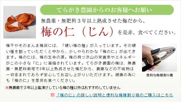 梅の仁