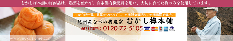 梅干し・南高梅