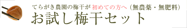 初めての方へ、お試し梅干しセット