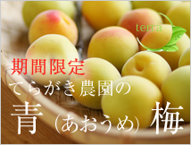 てらがき農園の青梅（南高梅・無農薬・無肥料栽培）