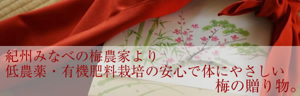 無農薬・有機栽培南高梅のギフト