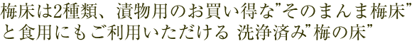 新鮮なきゅうりやなすを梅床にほおりこむ。2時間待って取り出すだけ。簡単美味しい浅漬け。