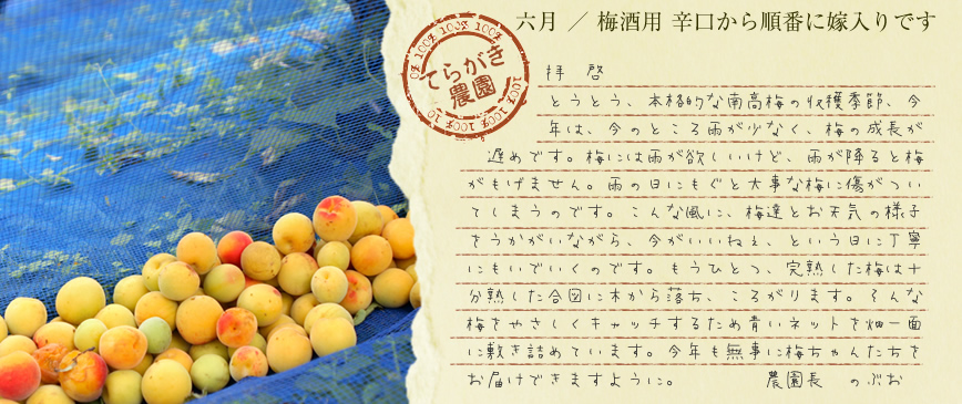 無農薬の梅栽培・てらがき農園