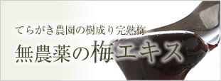 無農薬の梅エキス