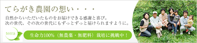 てらがき農園（無農薬・無肥料栽培の南高梅）の想い