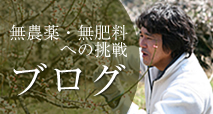 無農薬・無肥料で梅作りへの挑戦・ブログ