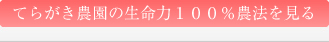 てらがき農園の生命力100%農法を見る