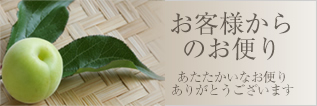 お客様からのお便り