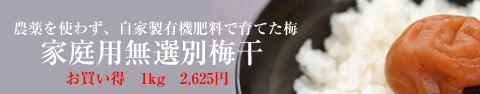 �ƒ�p���I�ʔ~����
