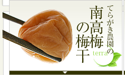 無農薬の南高梅の梅干