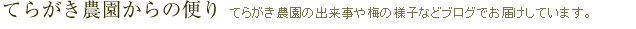 農園からの便り