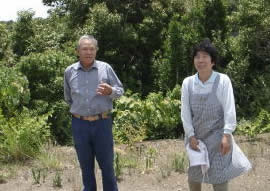 �~�����̌��c�A�[���o�}��