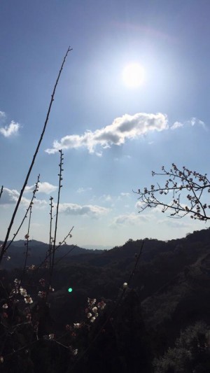2016.02.02
