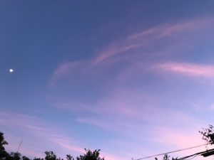 2018,8.22
