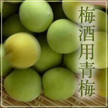 梅干し用青梅