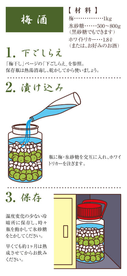 梅酒のレシピ