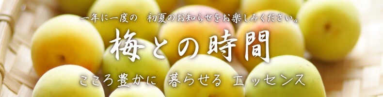 無農薬・自然栽培の青梅・完熟南高梅