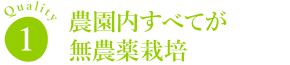 農園内全てが無農薬栽培