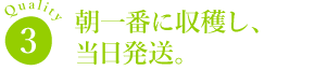 朝一番に収穫し、当日発送