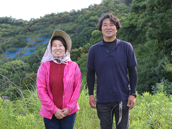 無農薬・自然栽培の南高梅 - 梅干通販 てらがき農園