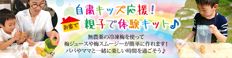 『親子で体験！梅ジュースがカンタンに作れる！！』