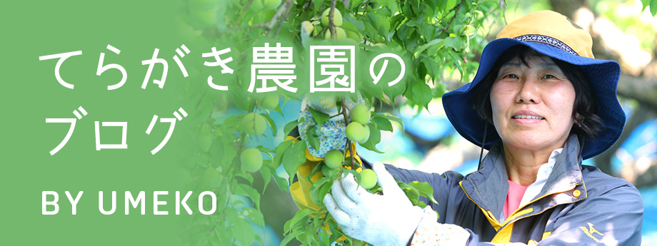 てらがき農園のブログ