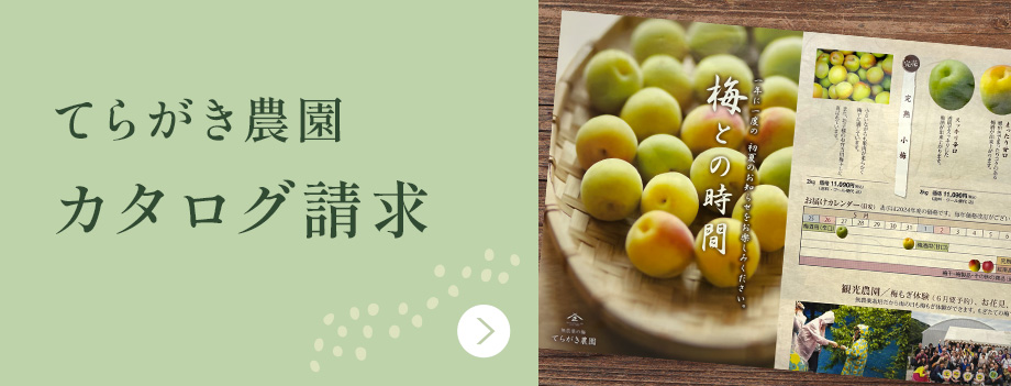 てらがき農園 カタログ請求
