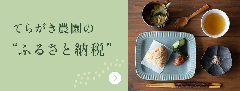 てらがき農園のふるさと納税