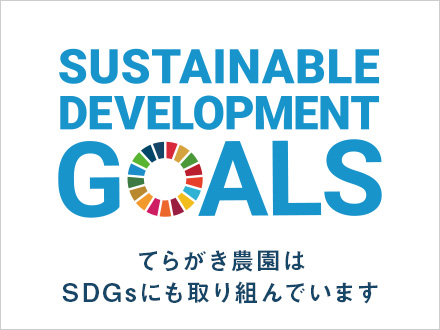 SDGs