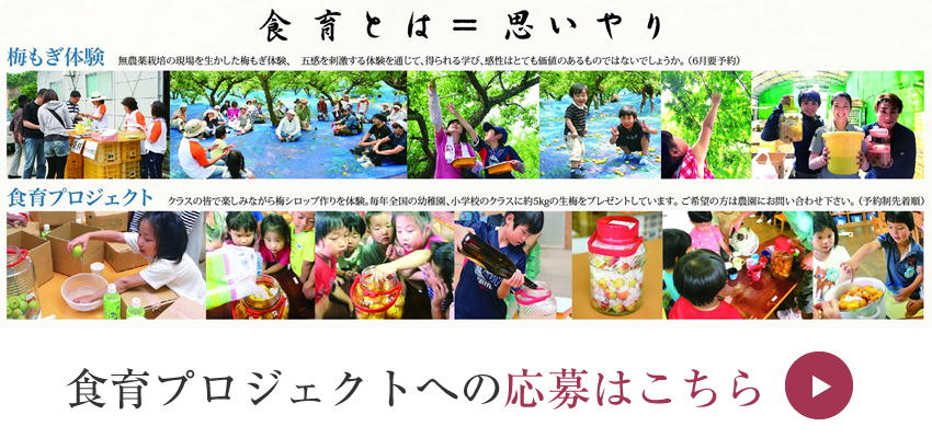 食育プロジェクトへの応募はこちら
