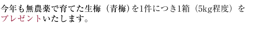 今年も無農薬で育てた青梅（生梅）を、1件につき1箱（5kg程度）をプレゼントいたします