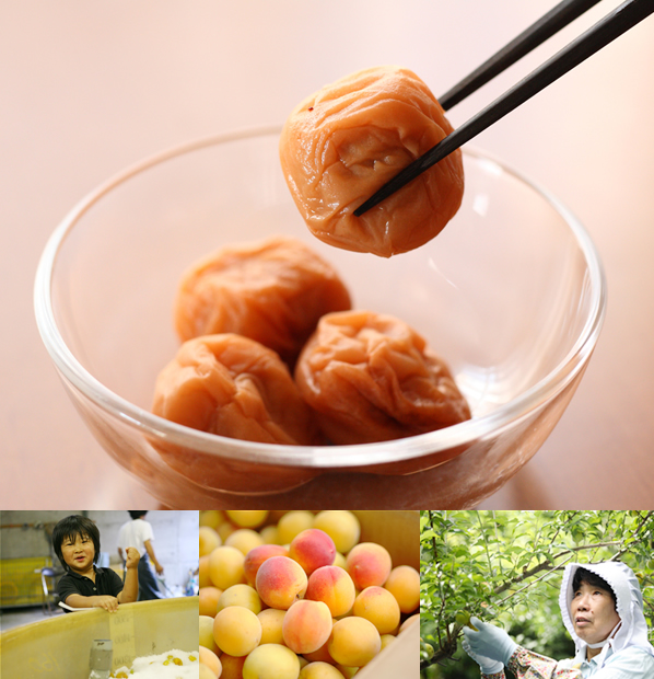 ~y_E~zIB݂Ȃׂ̓썂~