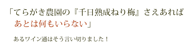 てらがき農園の『千日熟成ねり梅』さえあればあとは何もいらない