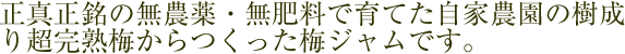 正真正銘の農薬を使用せず栽培し育てた梅からできた梅ジャムです。