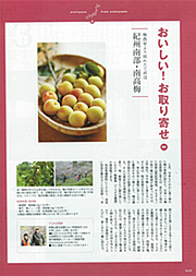 てらがき農園の青梅