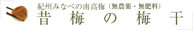 紀州みなべの南高梅 昔梅の梅干し