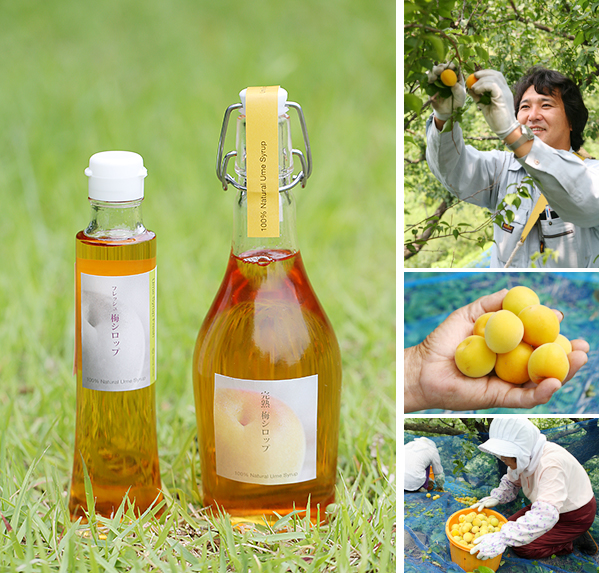 南高梅の無農薬梅シロップ
