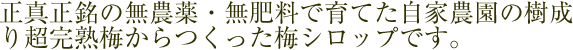 正真正銘無農薬無肥料で育てた自家農園の樹成り超完熟梅からつくった梅シロップです。