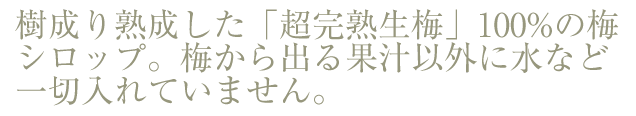 梅シロップ【無農薬】樹成り熟成した「超完熟生梅」100%の梅シロップ。梅から出る果汁以外に水など一切入れていません。