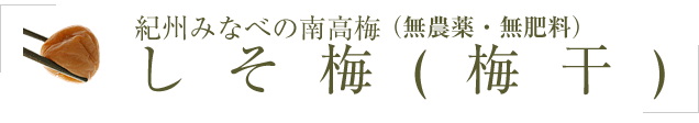 農薬を使用せず栽培した梅干し（しそ梅）紀州みなべの南高梅の梅干し・しそ梅