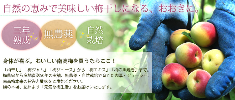 紀州 南高梅 無農薬 10k送料込み7000円 サイズ選べます 悲しき