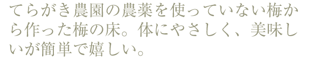 てらがき農園の農薬をつかっていない梅から作った梅の床。体にやさしく、美味しいが簡単で嬉しい。