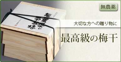 最高級の梅干し