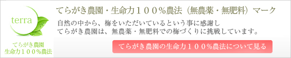 紀州みなべの梅農家てらがき農園【農薬を使用していない栽培】を見る