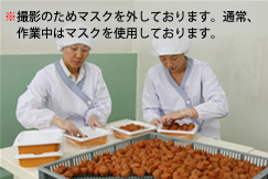 丁寧にパッキングしていきます